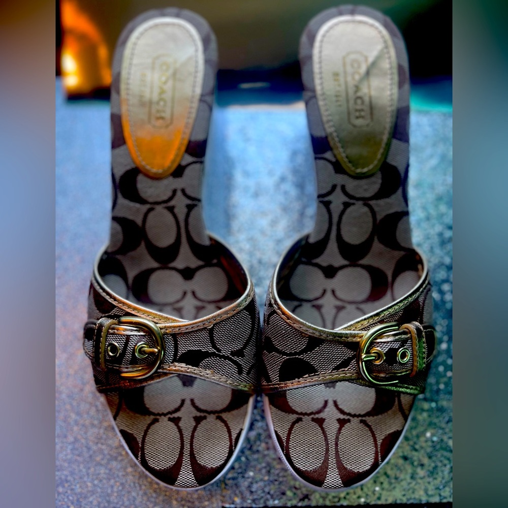 Coach Shoes